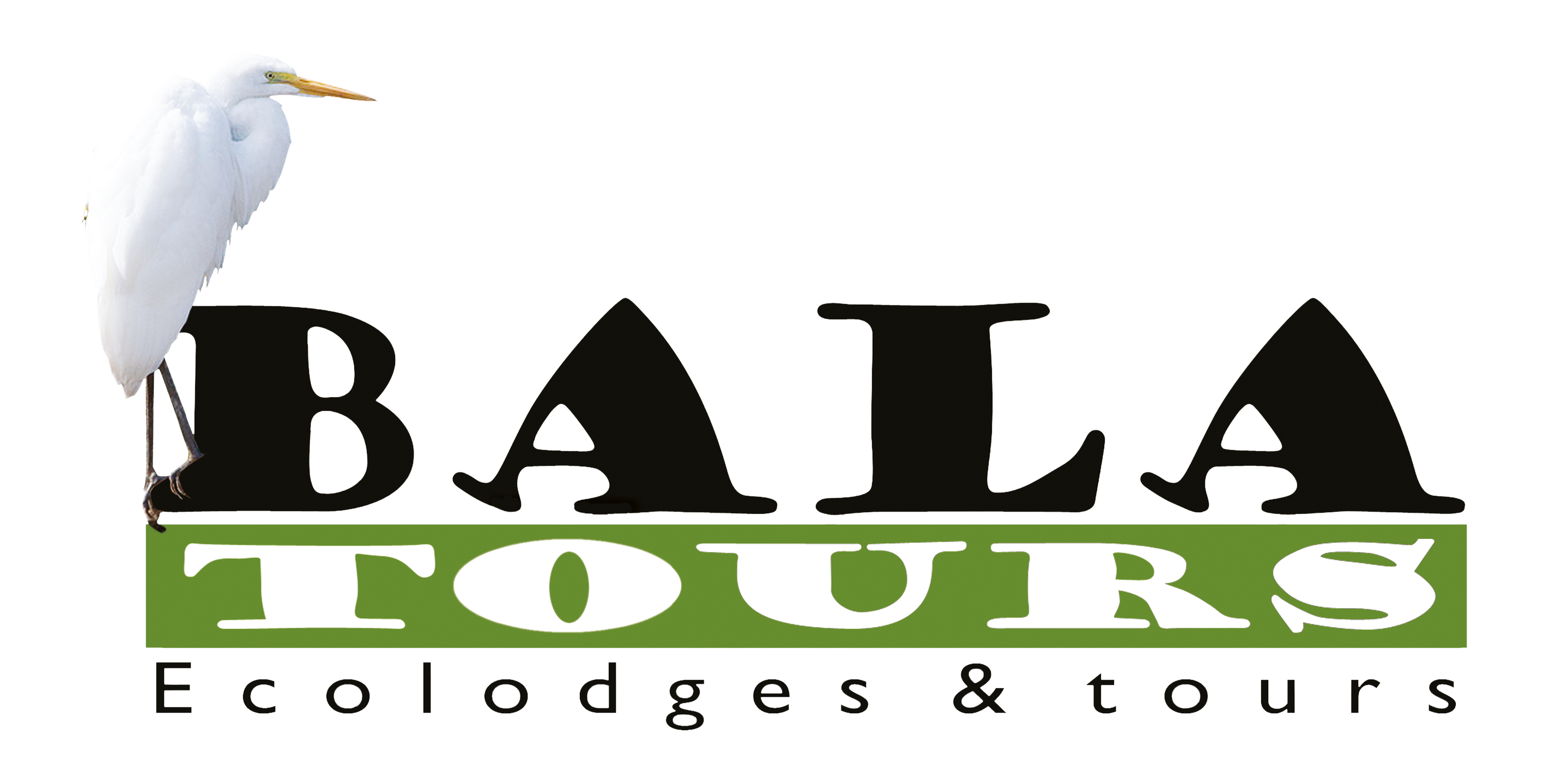 Bala Tours Logo
